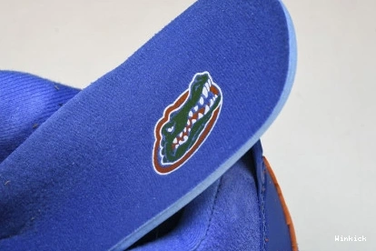 4  AJ4-904283 PE Air Gators"  Jordan "Florida 0825